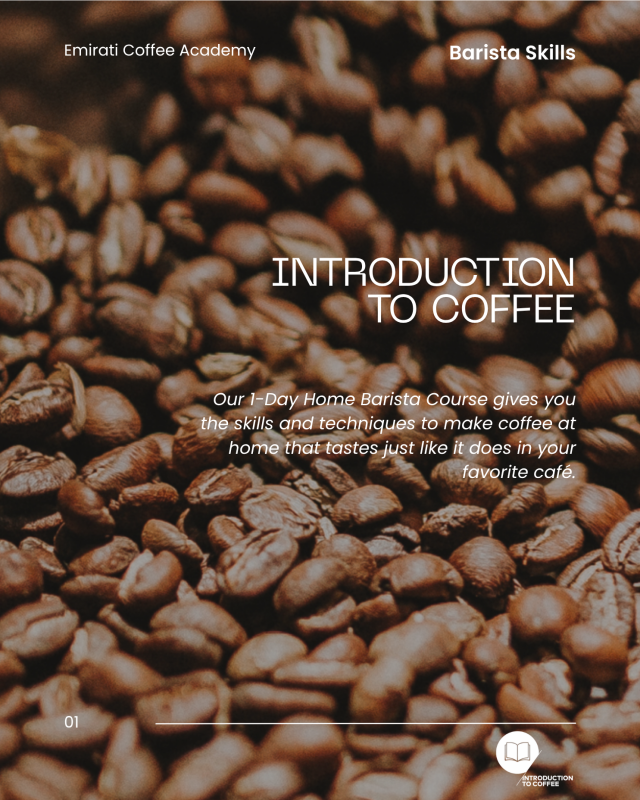 Introduction to coffee