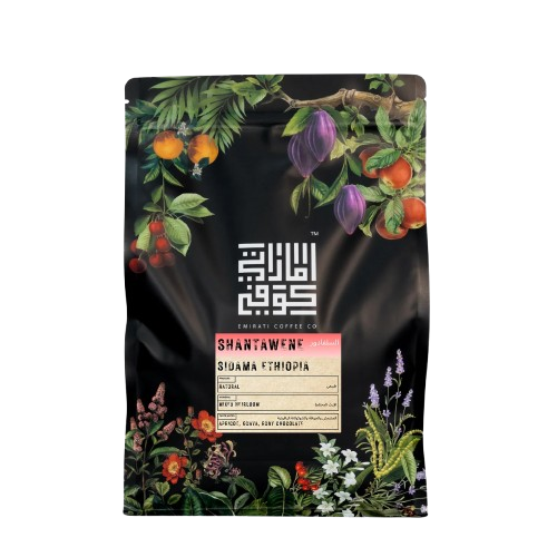 ETHIOPIA SHANTAWENE Natural